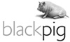 Black Pig Design Co Ltd